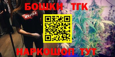 стафф Нальчик