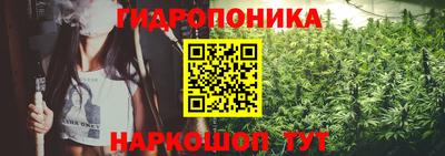 стафф Нальчик