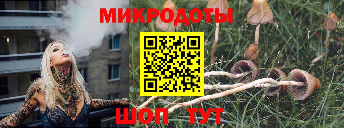 Галлюциногенные грибы Magic Shrooms Советская Гавань